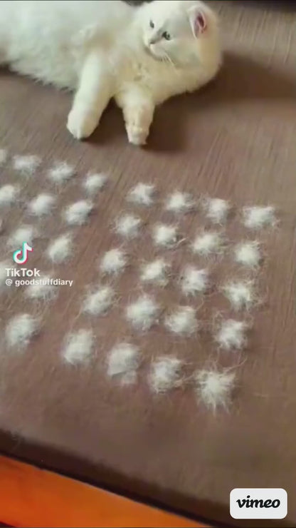 Pet Hair Remover Glove