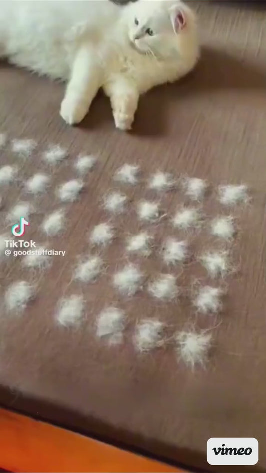 Pet Hair Remover Glove